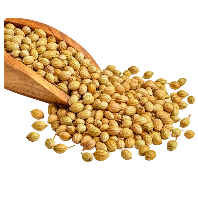 Coriander Seeds