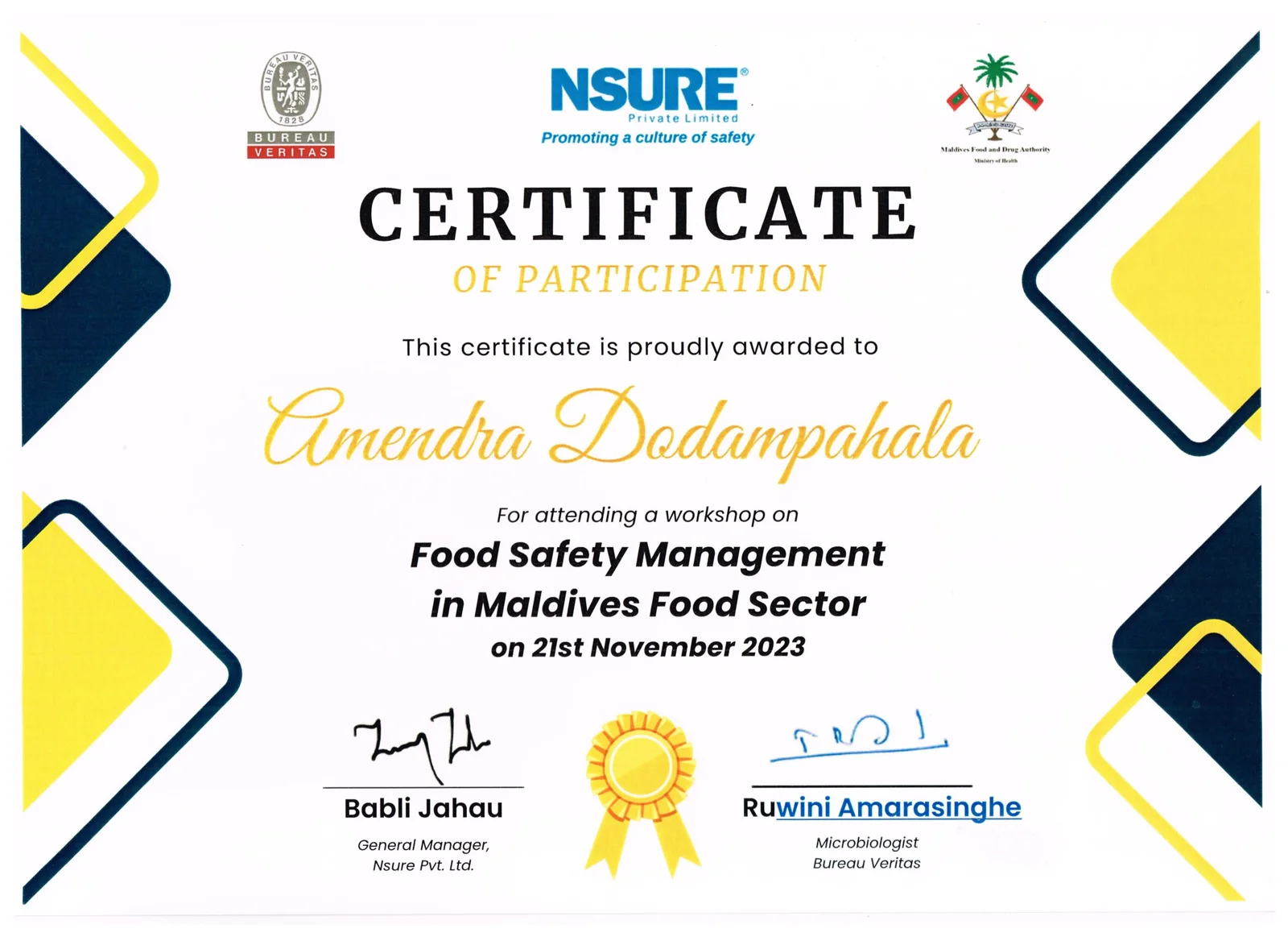 NSURE Training Certificate
